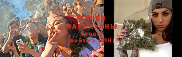 тгк Лагань
