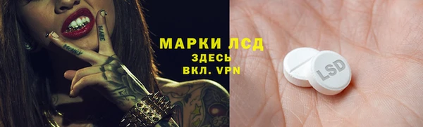 тгк Лагань