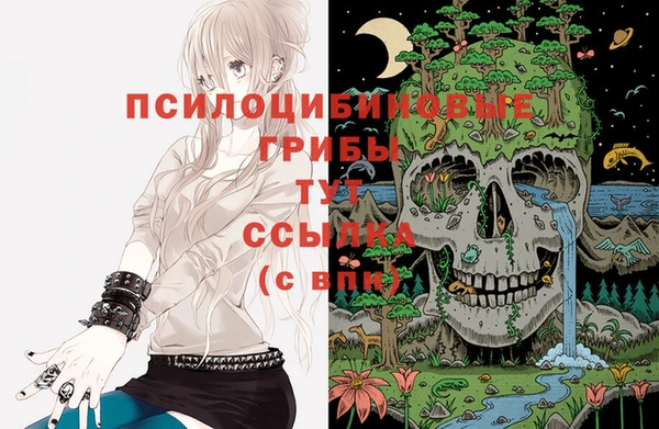 тгк Лагань